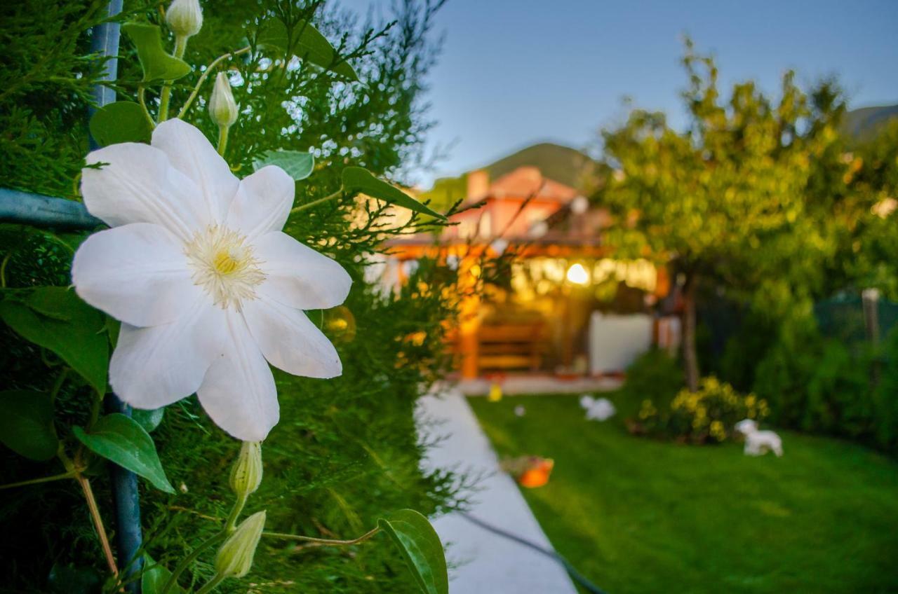 Guest House Vasilena Sapareva Banya Exterior foto